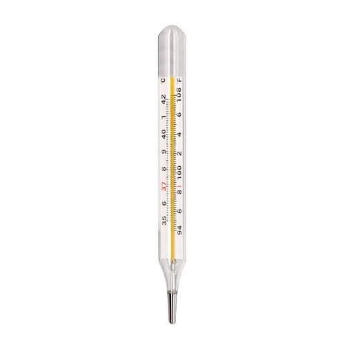 Mercury Thermometer